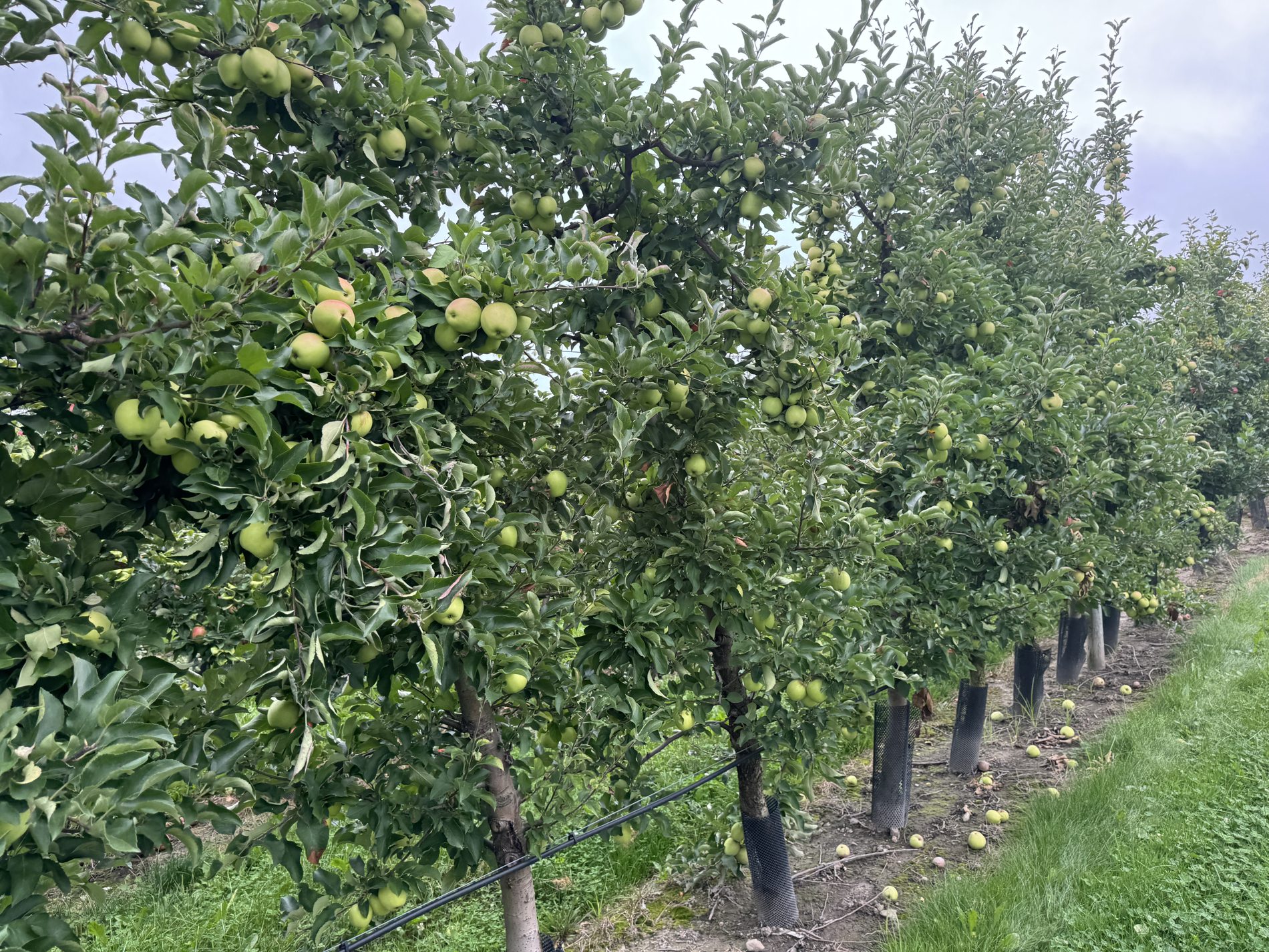 AGRILEAD Blog