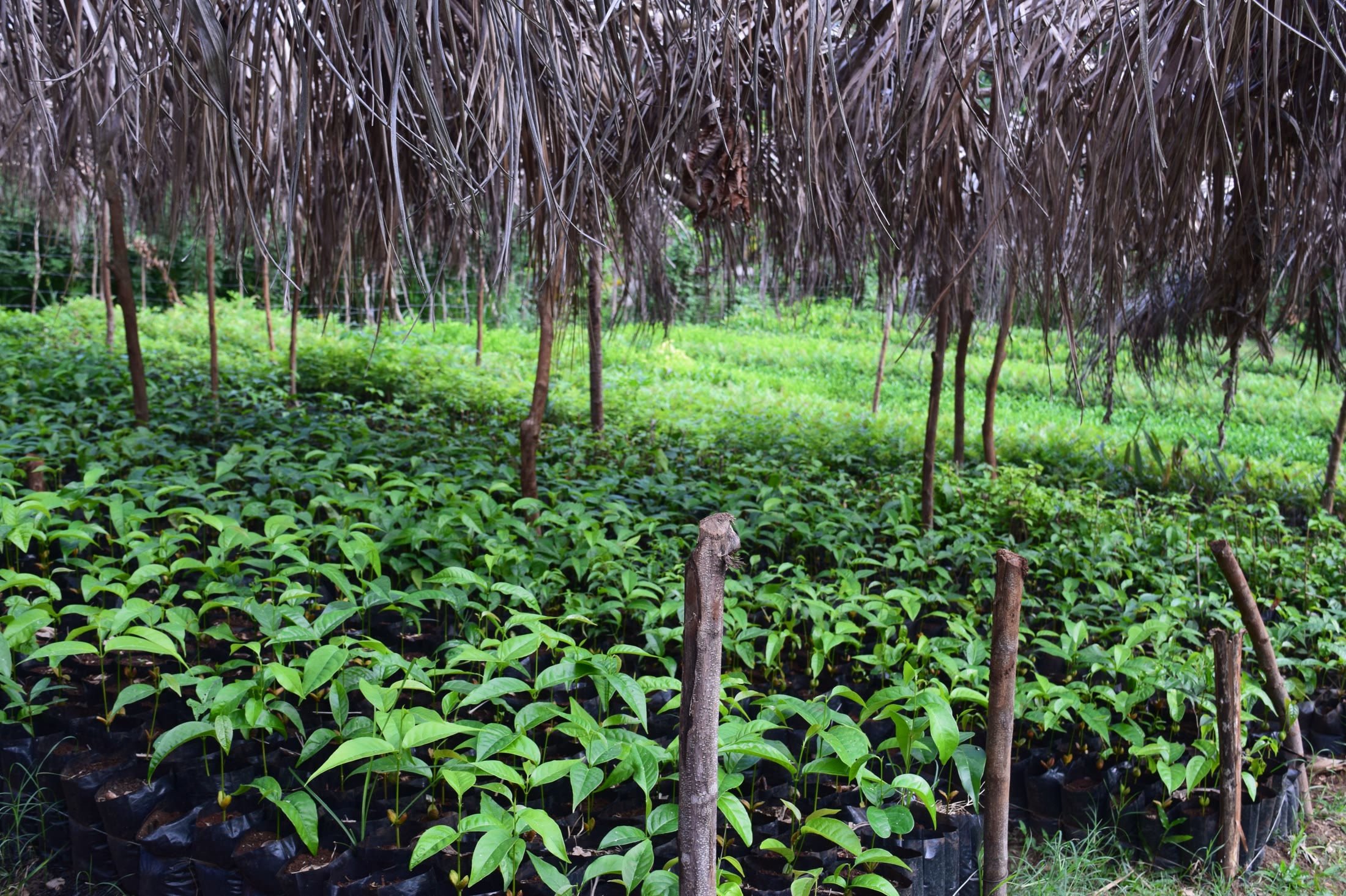 Agricultural Training and Consulting Services
