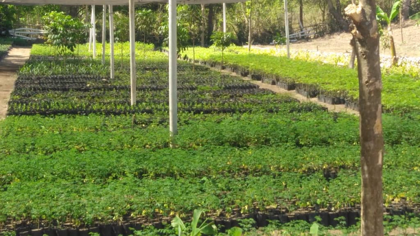 AgriLead Bilingual Agricultural Workforce & Extension Training Initiative